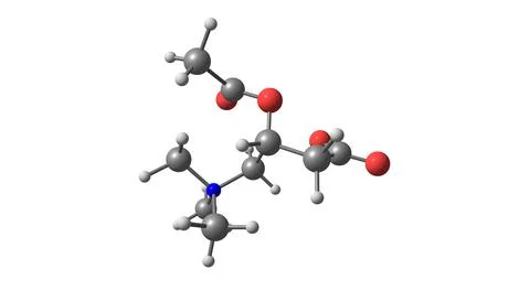 Acetyl-L-carnitine molecular structure isolated on white Stock Illustration
