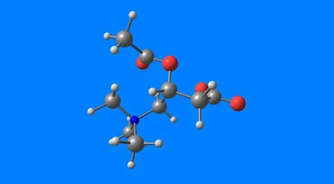 Acetyl-L-carnitine molecular structure isolated on blue Stock Illustration