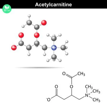 Acetylcarnitine formula Stock Illustration
