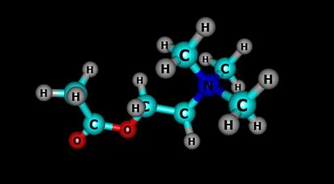 Acetylcholine molecular structure isolated on black Stock Illustration