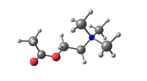 Acetylcholine molecular structure isolated on white Stock Illustration