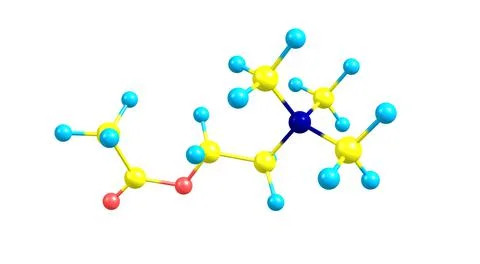 Acetylcholine molecular structure isolated on white Stock Illustration