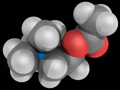 Acetylcholine molecule Stock Illustration