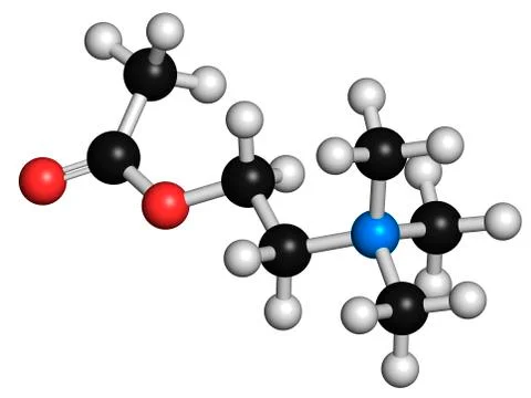 Acetylcholine neurotransmitter molecule Stock-Illustration