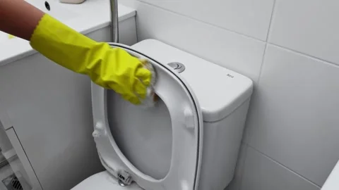 Achieving Effective Toilet Cleaning by Utilizing Gloves and a Brush for Optimal Stock Footage 282726828
