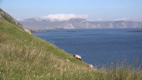 Achill Island. Видео 82321331
