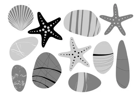 Achromatic Beach pebbles, starfish, shell set. Various grey shapes. Modern Stock Illustration