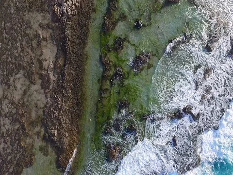 Achziv birds beach Stock Footage 80418190