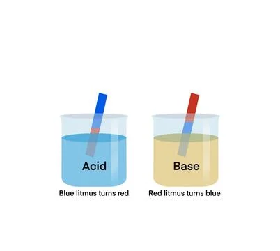 Acid and base, chemical difference between acids and bases Stock Illustration