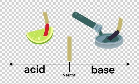 Acid and base testing using litmus paper Stock Illustration
