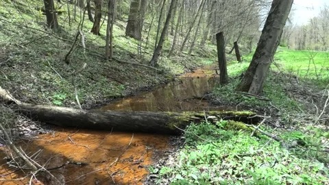 Acid Mine Drainage in a Small Stream Stock Footage 192643926