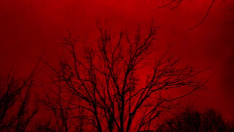 Acid Rain On Dead Forest Pollution Scene Stock Footage 249126125