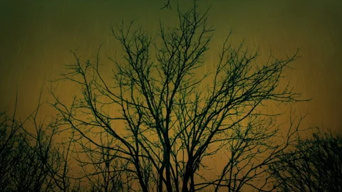 Acid Rain On Dead Tree With Toxic Sky Stock Footage 239453329
