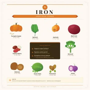 Acid Rain Infographic Vector Causes Effects Solutions Guide Stock Illustration