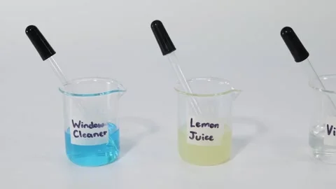Acids and Bases Experiment Vidéo 275577788