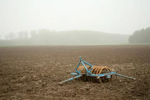 Ackerwalze Stock Photos