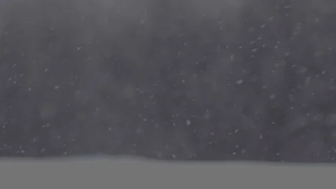 Ackground of snow fall blowing fast in evening Stock Footage 86563803