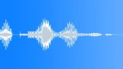Acknowledged Sound Effect