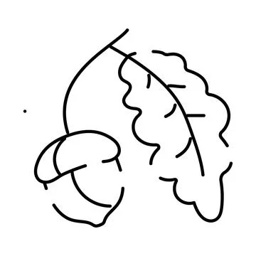 Acorn and oak leaf line art drawing Stock Illustration