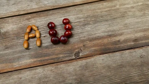 Acorn chestnut sharp table hd footage Stock Footage 96448848