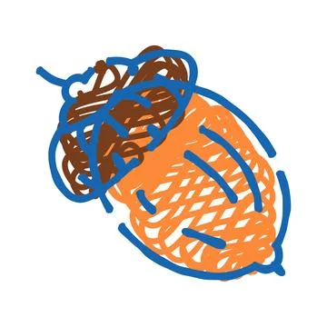 Acorn drawing with cap and shell details Stock Illustration