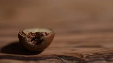 Acorn Falling and Splitting into Halves Extreme Closeup Stock Footage 99139549