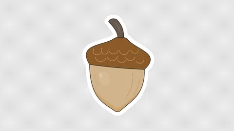 Acorn Vídeos de archivo 336518080