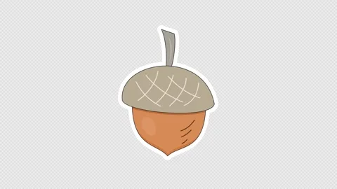 Acorn Stock Footage 336579524