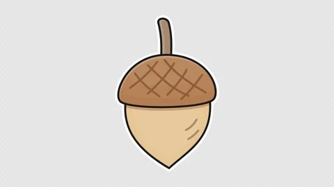 Acorn Stock Footage 337352744