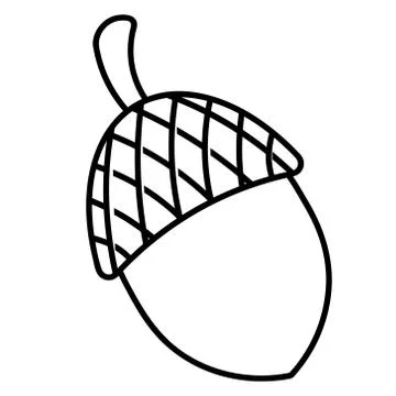 Acorn. The fruit of an oak with a hard shell. Stock Illustration