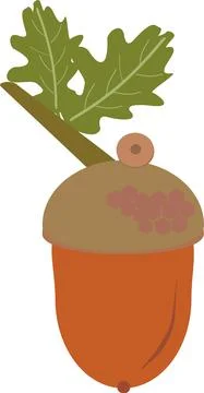 Acorn Illustrazione stock