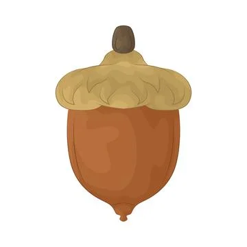 Acorn illustration Stock Illustration