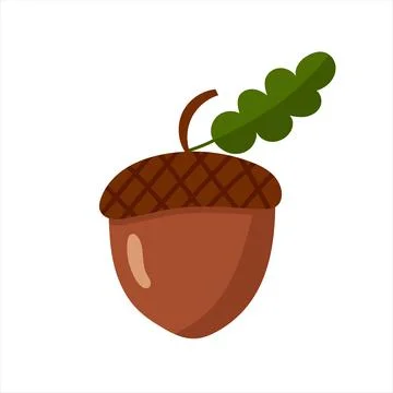 Acorn, isolated flat vector illustration Stock Illustration