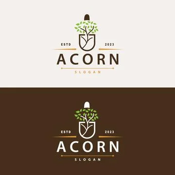 Acorn Logo, Nut Design With Oak Leaves Simple, Templet Illustration Vector Stock Illustration