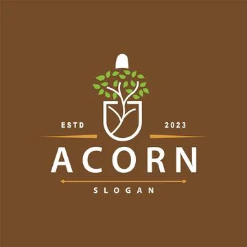 Acorn Logo, Nut Design With Oak Leaves Simple, Templet Illustration Vector Stock Illustration