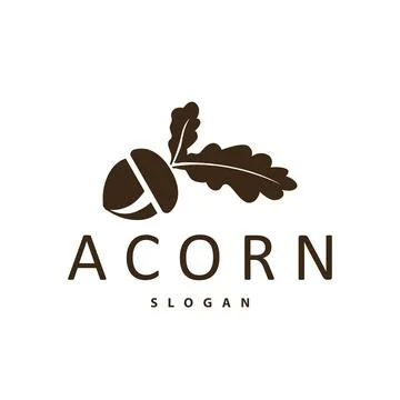 Acorn Logo, Nut Design With Oak Leaves Simple, Templet Illustration Vector Stock Illustration