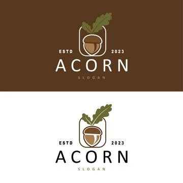 Acorn Logo, Nut Design With Oak Leaves Simple, Templet Illustration Vector Stock Illustration