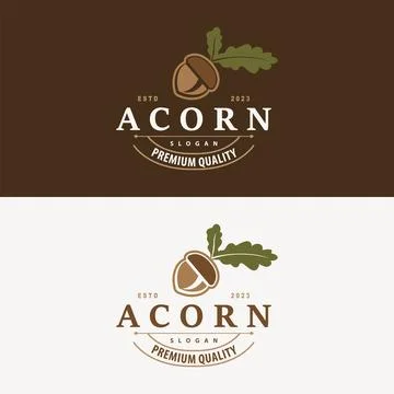 Acorn Logo, Nut Design With Oak Leaves Simple, Templet Illustration Vector Stock Illustration
