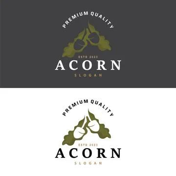 Acorn Logo, Nut Design With Oak Leaves Simple, Templet Illustration Vector Stock Illustration