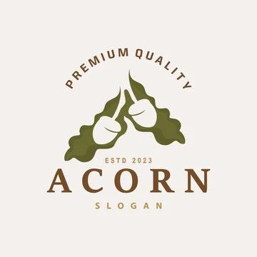 Acorn Logo, Nut Design With Oak Leaves Simple, Templet Illustration Vector Stock Illustration