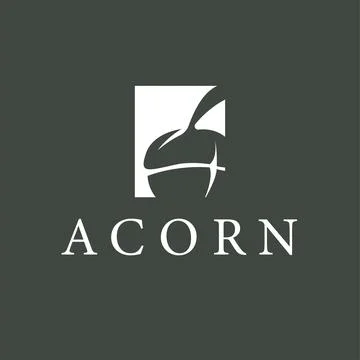 Acorn logo simple and clean for modern brand identity Illustrazione stock