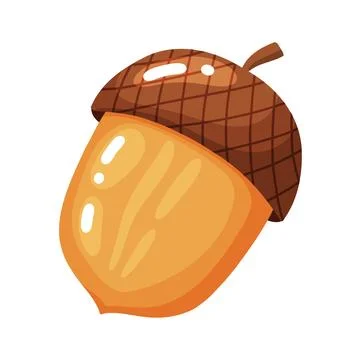 Acorn Nut Hand Drawn Doodle Illustration Stock Illustration