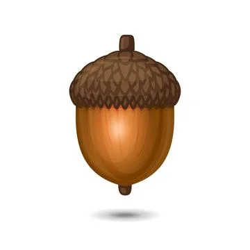 Acorn Nut Icon on White Background. Oak Tree Fruit. Vector Stock Illustration