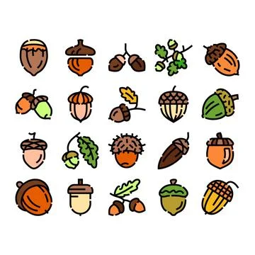 Acorn nut seed oak leaf autumn icons set Illustration