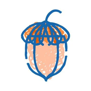 Acorn nut simple doodle drawing illustration Stock Illustration