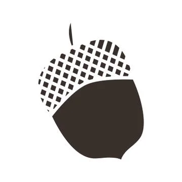 Acorn nut on white background Illustrazione stock