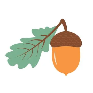 Acorn with oak leaf. Vector flat cartoon icon. Forest, nature, autumn concept Stock Illustration