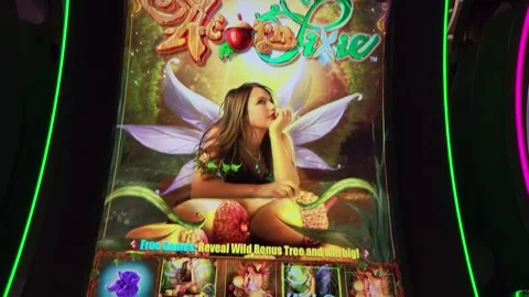 Acorn Pixie Slot Machine Casino Game 库存影片 243789767