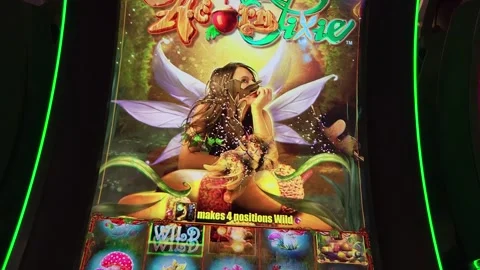Acorn Pixie Slot Machine Casino Game 库存影片 243790023