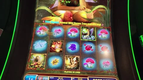 Acorn Pixie Slot Machine Casino Game 库存影片 243790091
